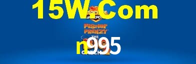Premium Interface n995